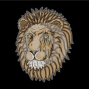Lion`s head on a black background. Vector illustration.