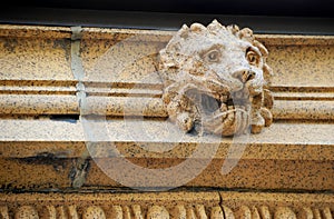 Lion`s Head photo