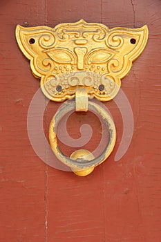 Lion's Head Doorknocker