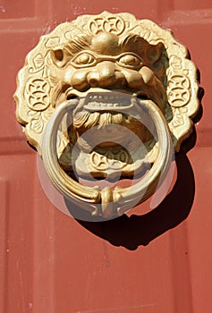 Lion's head doorknocker