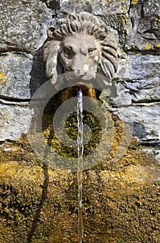 Lion's Head Drinking Fountain at the Chalice Well