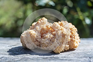 Lion`s Mane mushroom or Hericium erinaceus , a medicinal and edible mushroom, close up