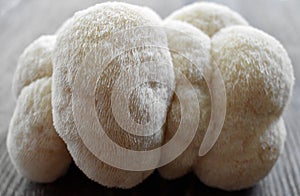 Lion`s Mane Mushroom on a Table