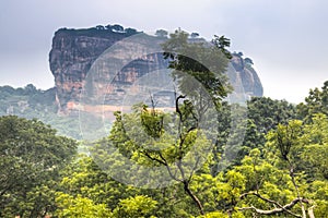 Lion's rock in Sigiriya, Sri Lanka