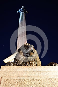 Lion`s Statue and Nelson`s Column, Trafalgar Square