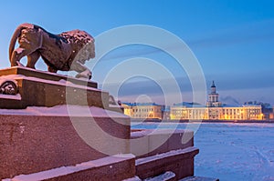 The lion sculpture in bronze at the Admiralty embankment and Kunstkamera at night in Saint Petersburg, Russia