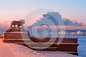 The lion sculpture in bronze at the Admiralty embankment and Kunstkamera at night in Saint Petersburg, Russia