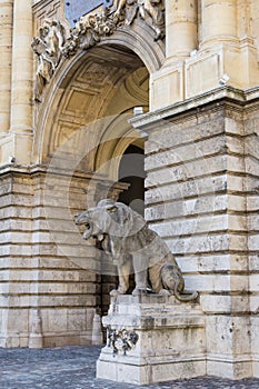 Lion sculpture - Budapest