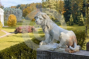 Lion sculpture on Italian staircase and Pavlovsky park landscape in autumn, Pavlovsk, Saint Petersburg, Russia