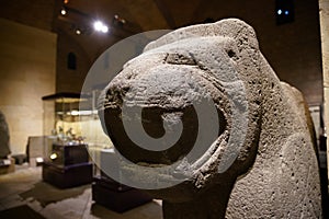 Lion Sculpture in Museum of Anatolian Civilizations, Ankara, Turkiye