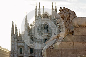 Lion sculpture near Milan Cathedral, Italy, Milano Duomo church