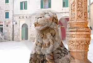 Lion sculpture and ornaments of Saint James Cathedral in Sibenik photo