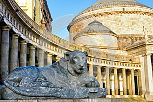 Lion Sculpture in the Piazza del Plebiscito in Naples, Italy