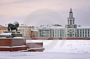 The lion sculpture in Saint Petersburg, Russia