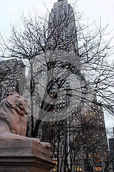 Lion sculpture at the steps of New York Public Library, New York, NY