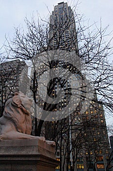 Lion sculpture at the steps of New York Public Library, New York, NY