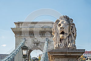 Lion Sculpture at Szechenyi Chain Bridge - Budapest, Hungary