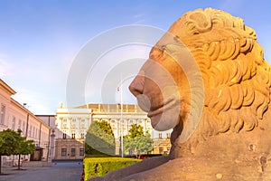 Lion sculpture in Warsaw, Poland