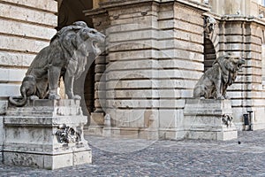 Lion sculptures - Budapest photo