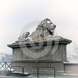 Lion sculptures of the Chain Bridge with the view of Budapest, H