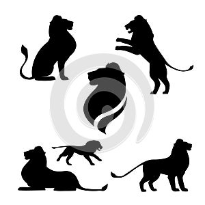 Lion set vector