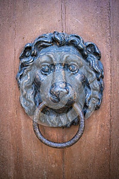 Lion shaped door knocker
