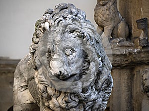 Lion signoria place florence italy statue detail