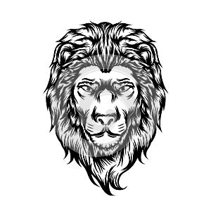 The lion single head for tattoo ideas