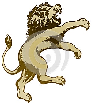 Lion Standing