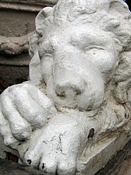 Lion statue photo