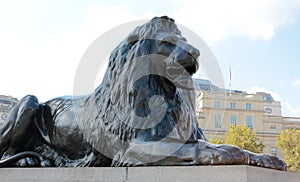 Lion statue