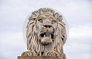 Lion statue in Budapest, Hungary.