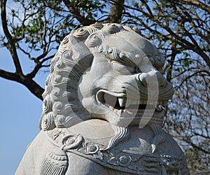 Lion Statue in the buddhist temple of Iguassu Falls, Brazil. photo