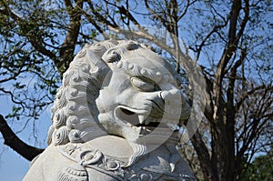 Lion Statue in the buddhist temple of Iguassu Falls, Brazil. photo