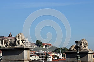 Lion statue on Chain bridge Budapest