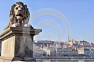Lion Statue of Chain Bridge, Budapest