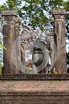 The lion statue within the council chamber of King Nissankamamalla at Polonnaruwa in Sri Lanka.