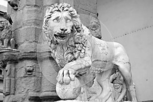 Lion statue Florence Tuscany italy
