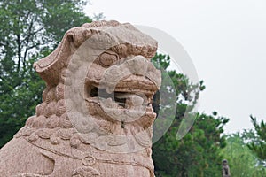 Lion Statue at Fuling Tomb of the Qing Dynasty(UNESCO World Heritage site) in Shenyang, Liaoning, China.