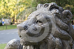 Lion statue inclining figure.