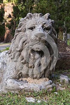Lion statue inclining figure.