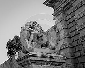 Lion Statue at Mdina Gate Malta