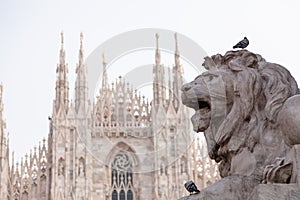 Lion statue in Milano and cathedral