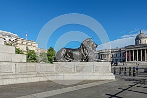 Lion statue and National Gallery, Trafalgar Square, London, UK