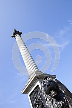 Lion Statue and Nelson`s column in Trafalgar Square, London