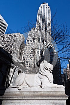 Lion Statue at the New York City Library