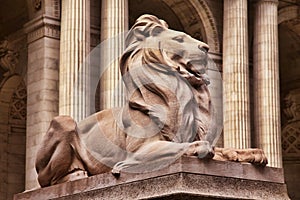 Lion statue