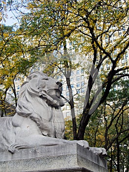 Lion Statue at New York Public Library