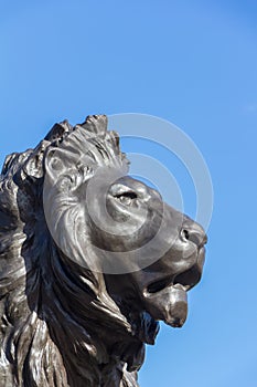 Lion statue at the Queeen Victoria memorial