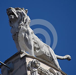 Lion statue in Riga